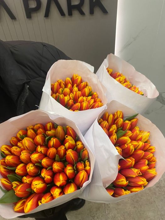Свежие тюльпаны по 650