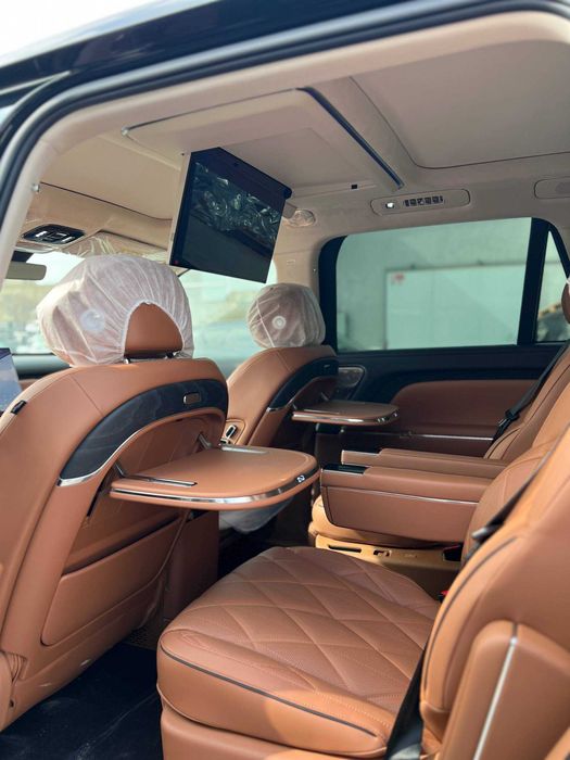 VOYAH Taishan Max Plus Pozitsiyada