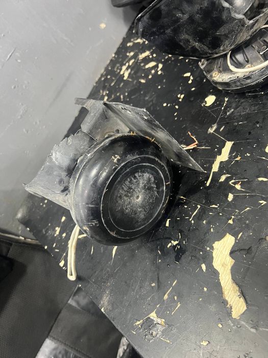 Sirena 2ta karneli qora