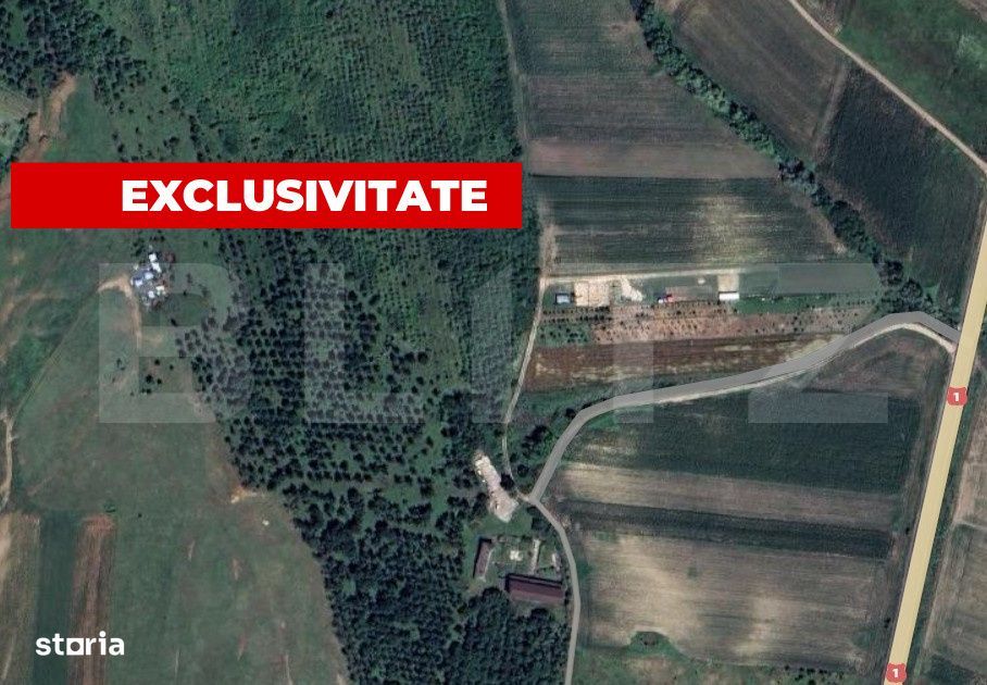 Teren extravilan 5996 mp, zona Valea Sasului - Teius
