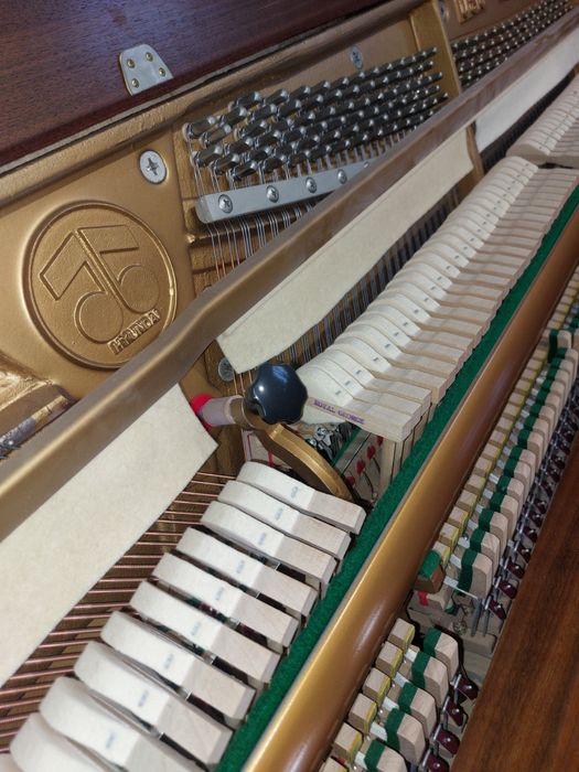 Pianina Maeari (transport gratuit  & garanție)