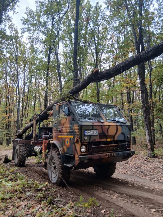 Vand lemn foc stejar