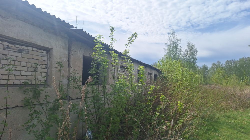 Продам дом вместе базой