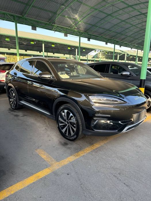Byd champion продается