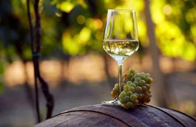 Vand struguri de vin