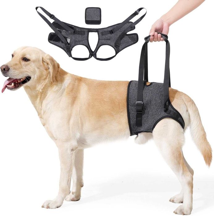 Регулируем опорен колан за повдигане на кучета за задни крака, XL