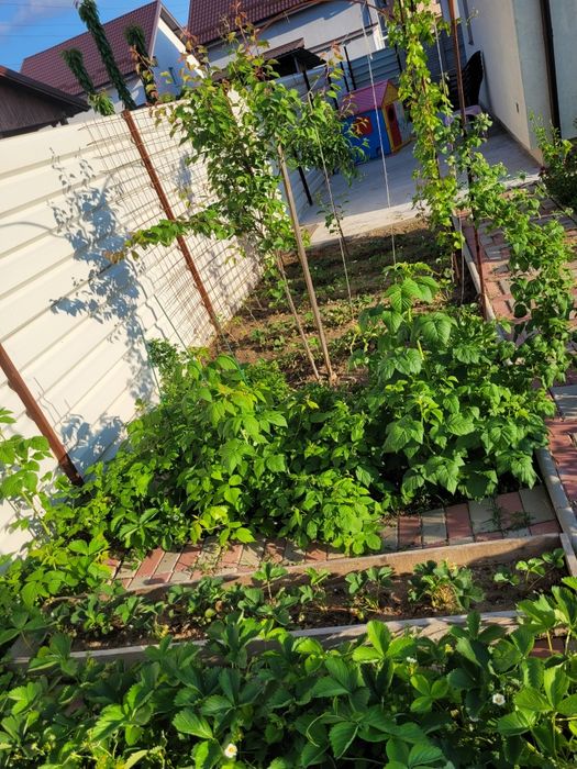 Casa de vanzare Albesti P+M