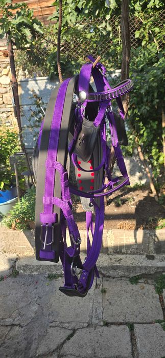 Амуниции за коне