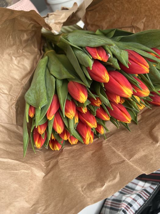 Тюльпаны  Семей