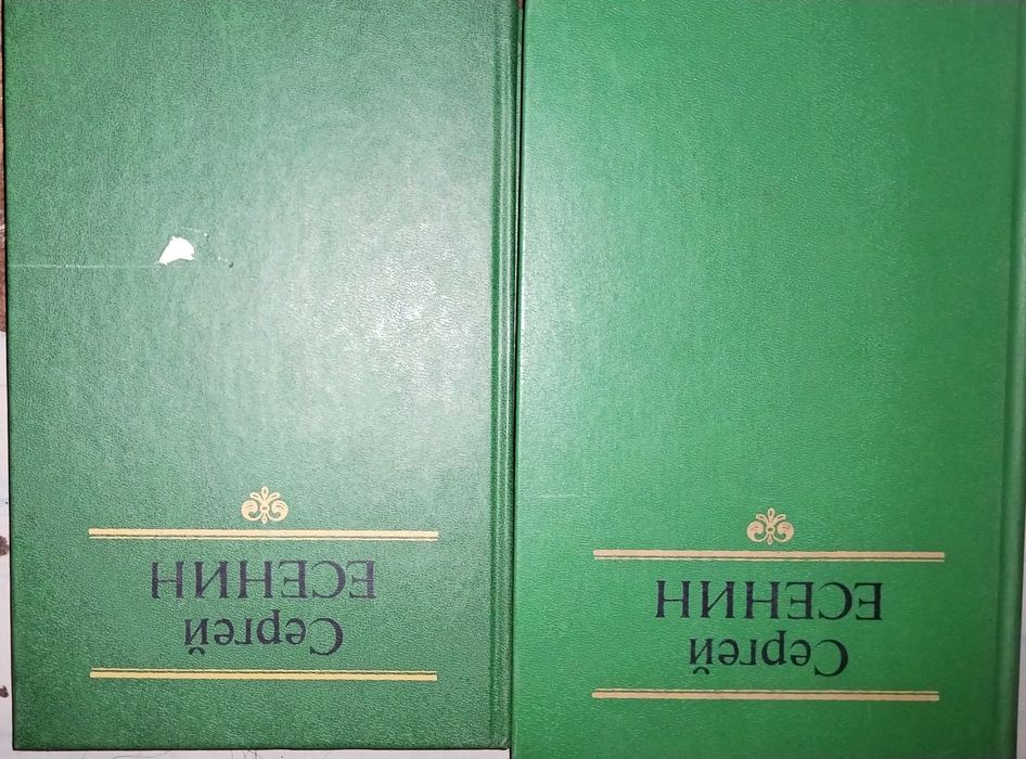 Книги сов и заруб пистелей