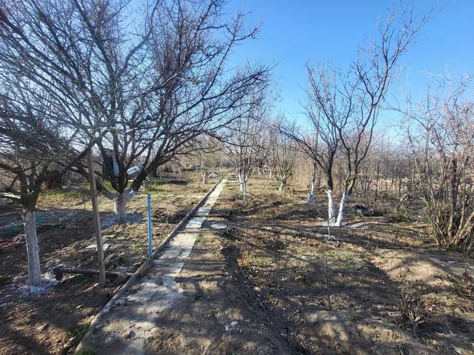 Продам дачу в Алмалах