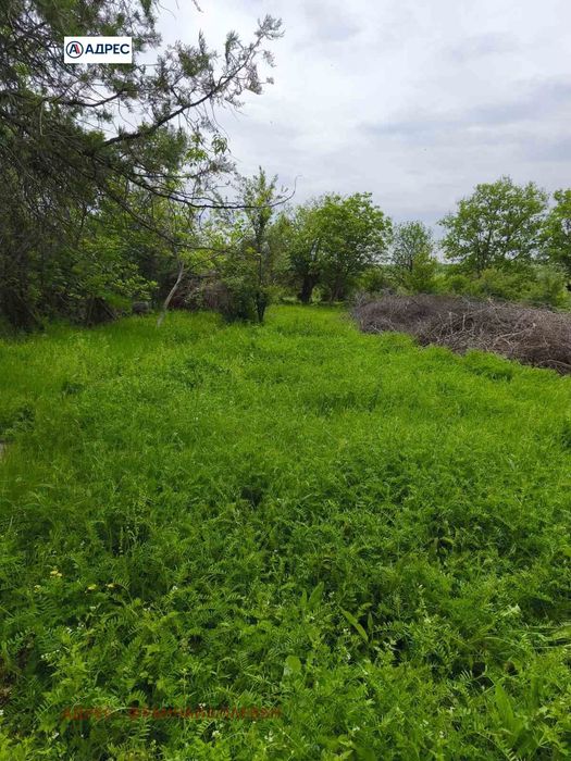 Парцел в Враца, област-с.Баница площ 3000 цена 20452