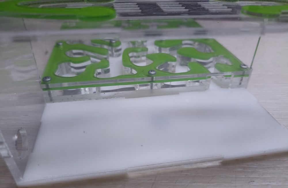 Муравьиная ферма