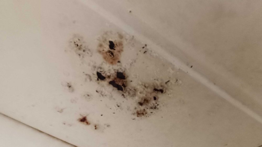 Продам СВЧ  элемберг