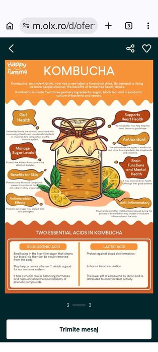 Kombucha pentru miere Kombucha JUN