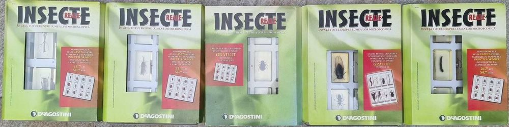 INSECTE REALE - Intreaga colectie de la Deagostini, 56 piese + albume!