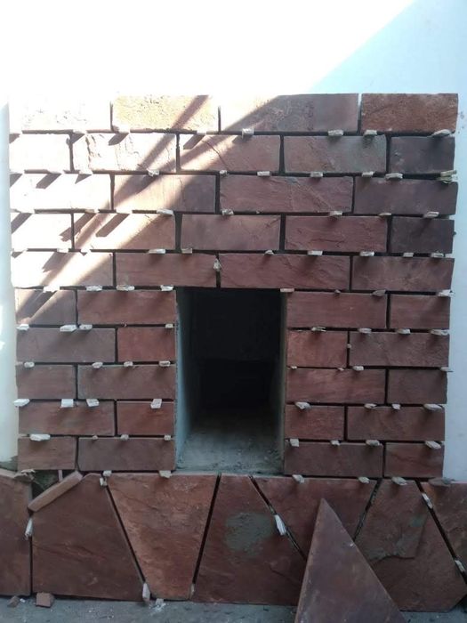 Плитняк разных видов