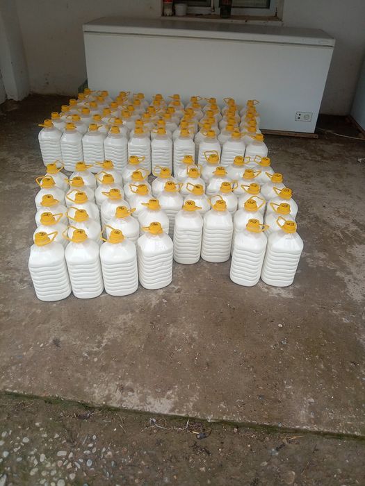 Кымыз кымыран оптом