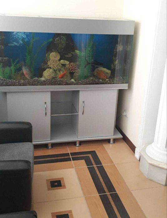 Сдаётся Офыс на Дружба Нородов