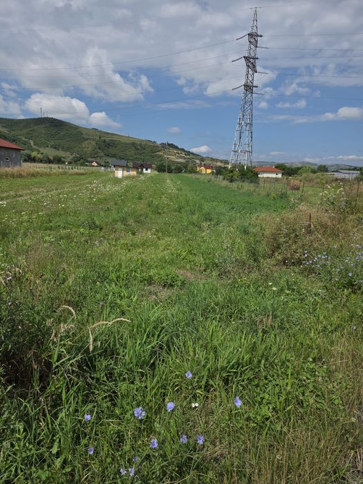 De vânzare pământ  !
