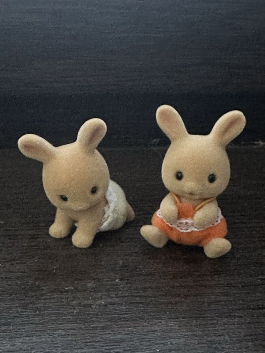 Sylvanien family