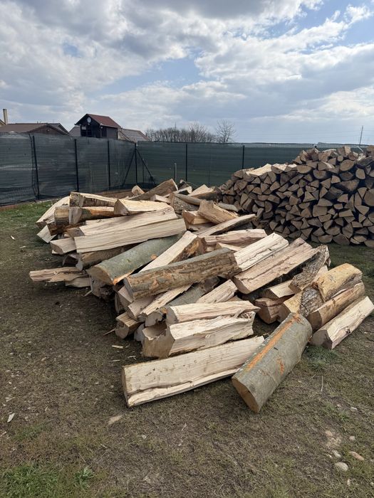 Vindem lemne de foc calitate superioară [Fag,Gorun,Carpen,Cer]