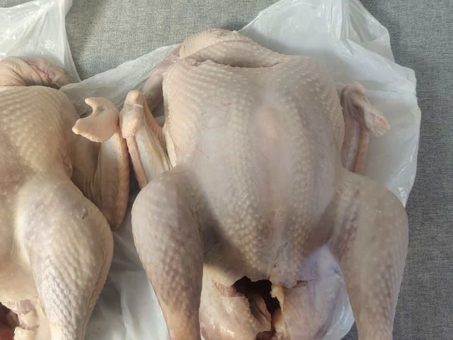 Мясо бройлера и индеек