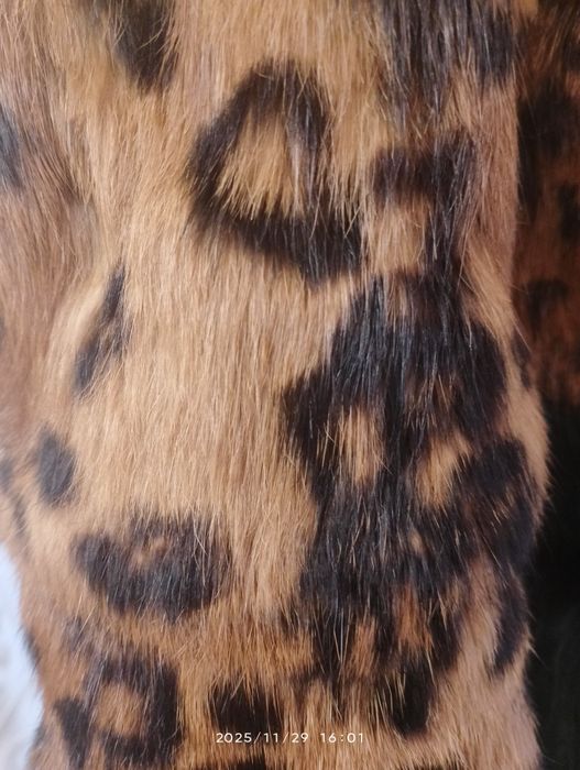 Намаление на тигрово патенце  естествен косъм