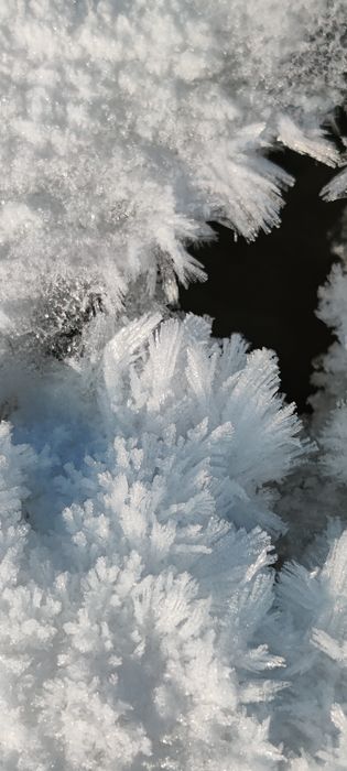 OnePlus 10 Pro Ram 8 Gb Rom 256GB.