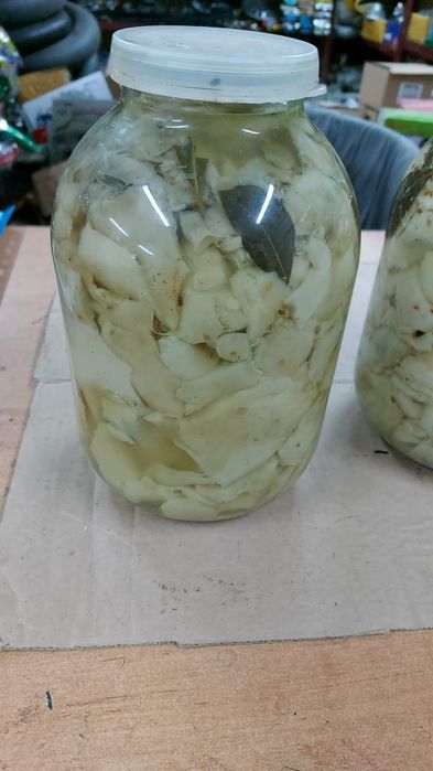 Продам грибы Грузди и волуи 2025год