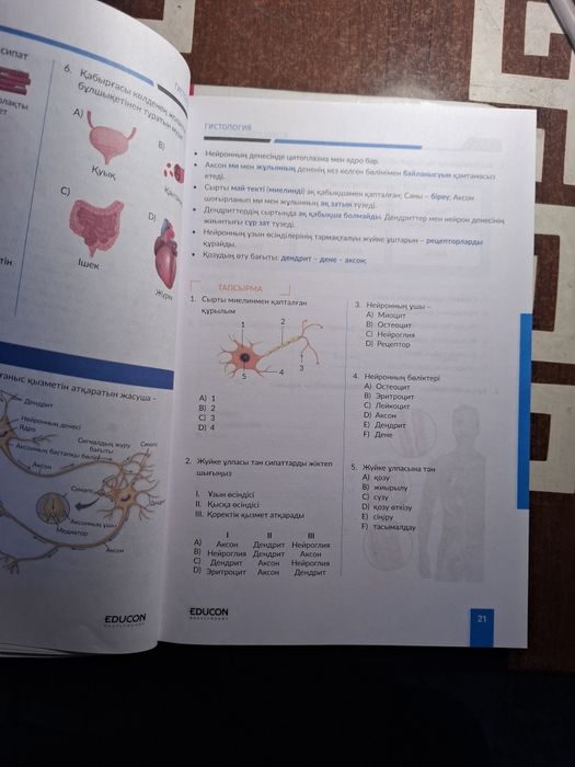 Educon Ұбт ЕнТ биология