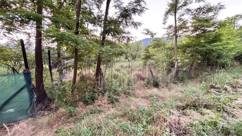 Teren intravilan Mărunțișu