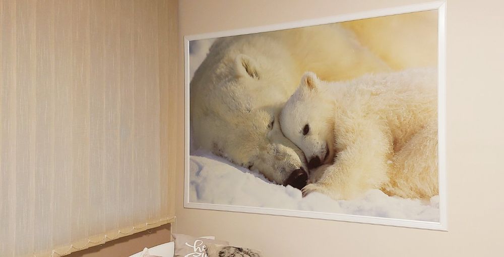 Два самостоятелни етажа от къща