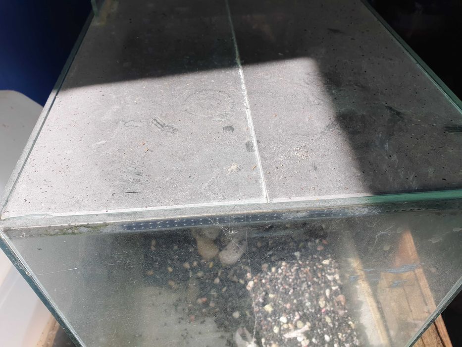 аквариум аквариум