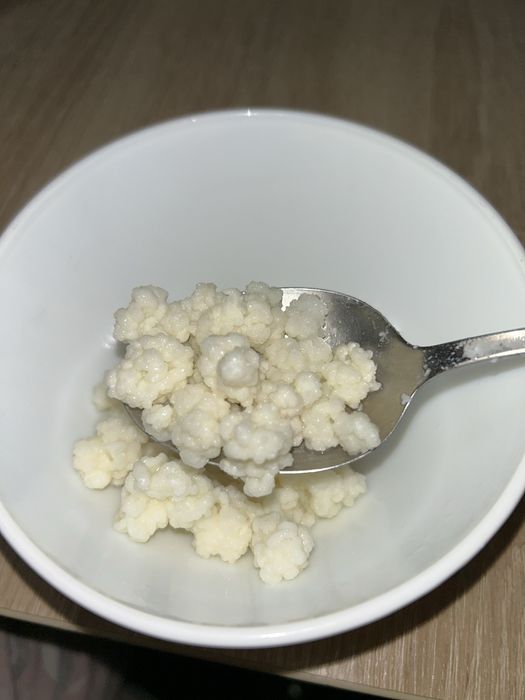 Vand ciuperca tibetana pentru Kefir