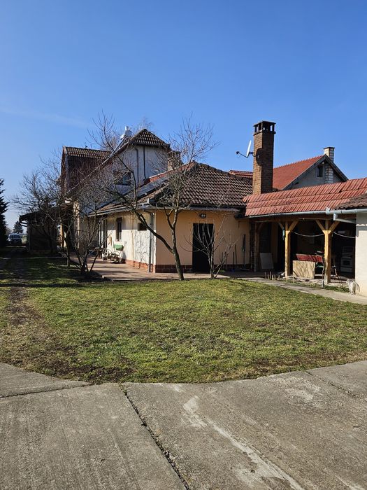 Casă 2 familii / firmă + livadă, 1700 mp teren, lângă Satu Mare – 129.900 €