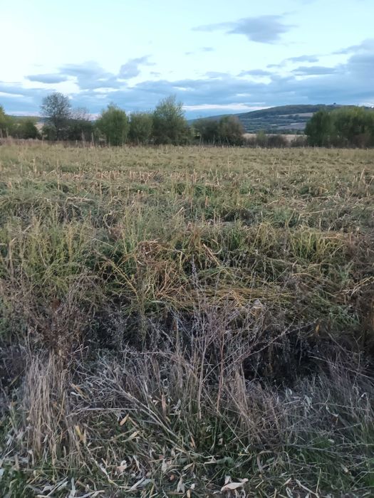 Продава се Земеделски имот в с. Горна Малина, Област София-област -  кв.м за 1222 €/дка - Снимка #6