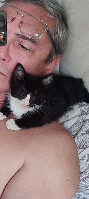 Котенок девочка 2 месяца