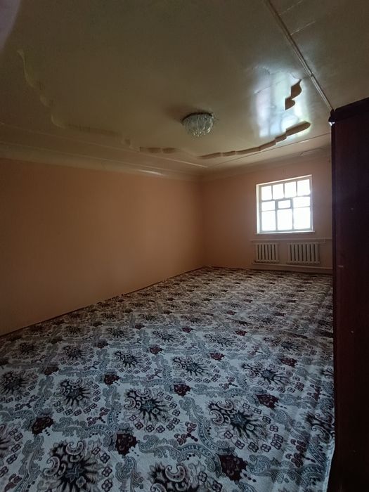 Jay satiladi kelishib beramis qiziqqanlar xabarlashing Kassigin ko'she