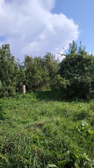 Продам дачу в Бухтарме