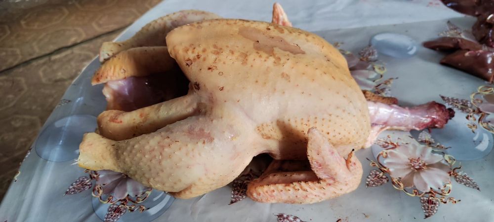 домашняя курочка