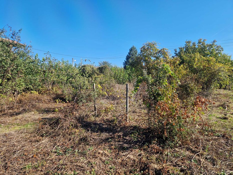 Продава се Къща в Лом - 40 кв.м за 637 €/кв.м - Снимка #7