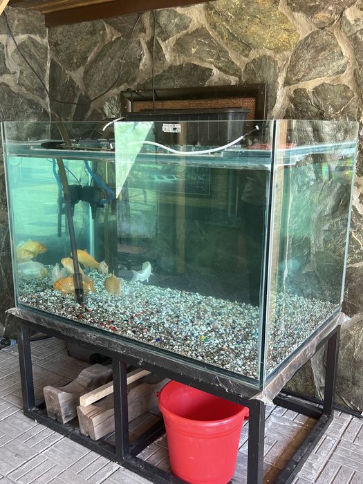 Аквариум на 700 литров