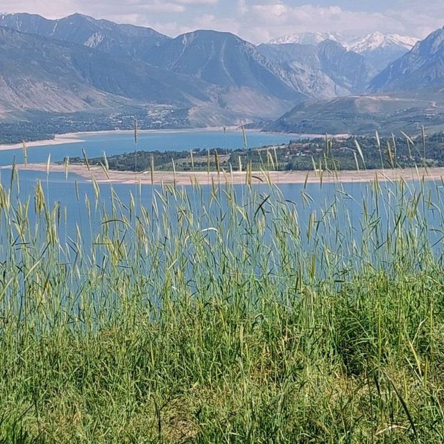 Чорбог су́в омбори  атрофида дача ЕРЛАР сотилади 1 сотихи