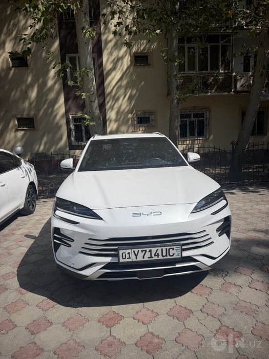 BYD chempion 110 talik