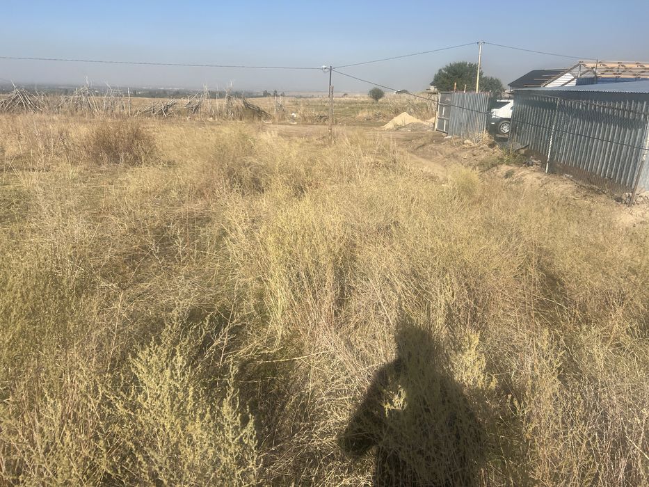 Участок в Доллане