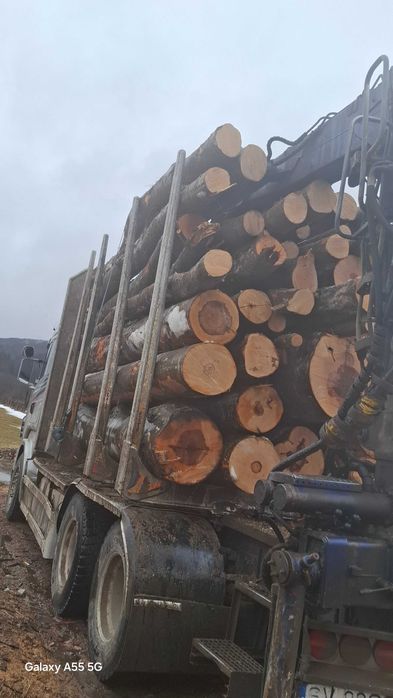 Lemne de foc-fag și brad.