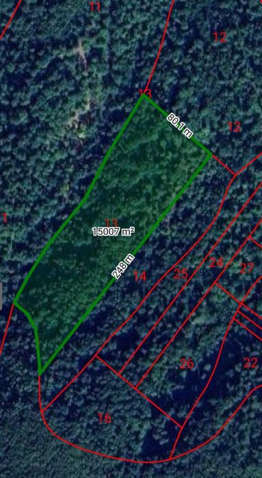 Гора 55 дка, с.Долна Бела речка, общ.Вършец