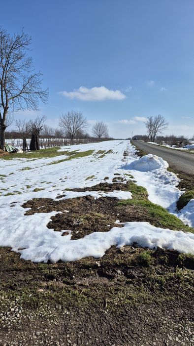 Teren intravilan de vanzare 4822 mp