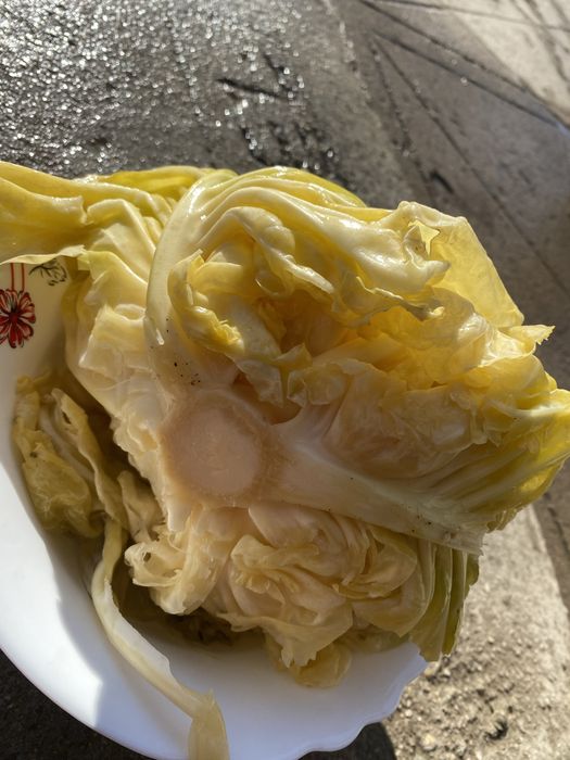 Varză murată românească